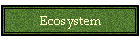 Ecosystem